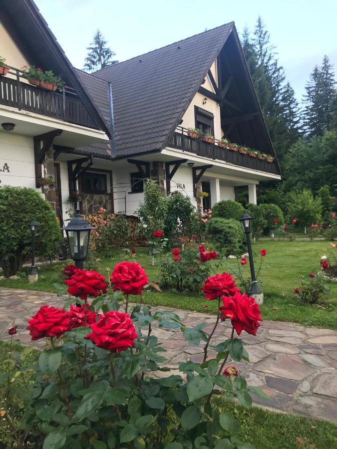 Complex Vile- Milana M Residence Poiana Brašov Exteriér fotografie