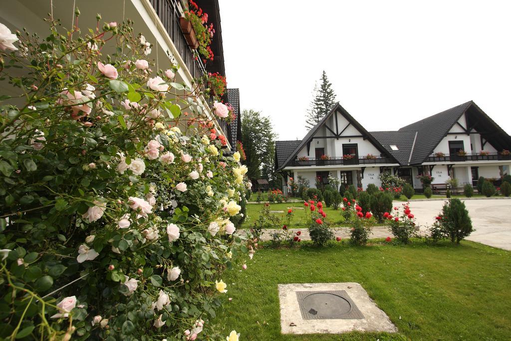 Complex Vile- Milana M Residence Poiana Brašov Exteriér fotografie